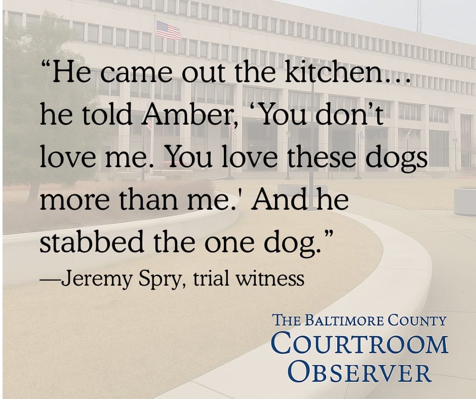 Man Convicted of Animal Abuse in Fatal Dog Stabbing