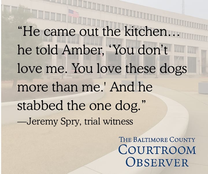 Man Convicted of Animal Abuse in Fatal Dog Stabbing